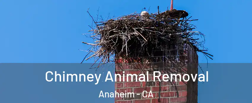 Chimney Animal Removal Anaheim - CA