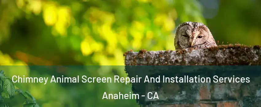  Chimney Animal Screen Repair And Installation Services Anaheim - CA