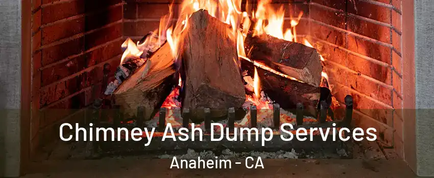  Chimney Ash Dump Services Anaheim - CA