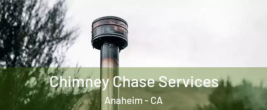 Chimney Chase Services Anaheim - CA