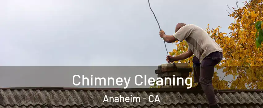  Chimney Cleaning Anaheim - CA