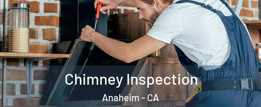  Chimney Inspection Anaheim - CA