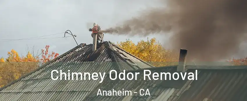  Chimney Odor Removal Anaheim - CA
