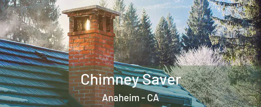  Chimney Saver Anaheim - CA