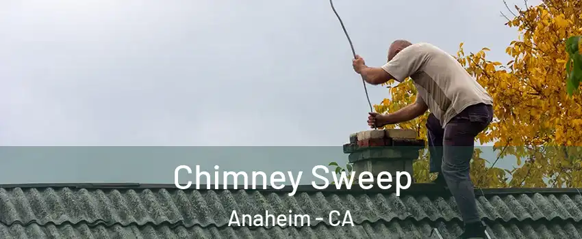  Chimney Sweep Anaheim - CA