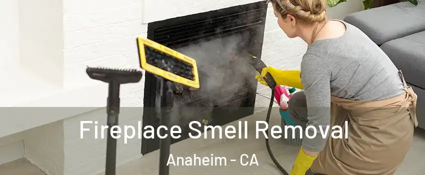  Fireplace Smell Removal Anaheim - CA