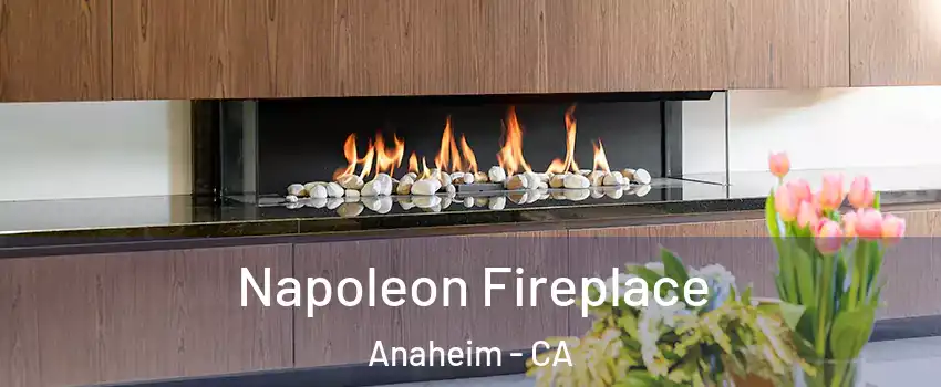  Napoleon Fireplace Anaheim - CA